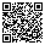 QR-Code - Logo - Fastgaming